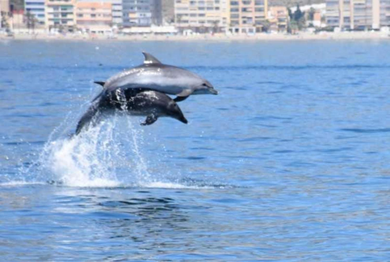 Primera Linea Del Mar - Acceso Directo Playa Carihuela Торремолінос Екстер'єр фото